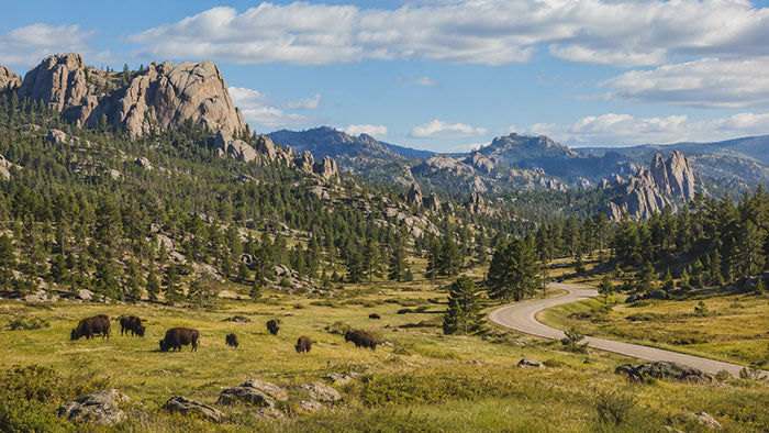 Cowboy Gulch