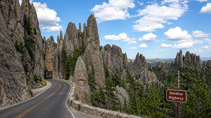 Needles Highway